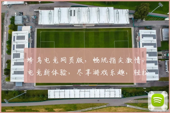 蜂鸟电竞网页版，畅玩指尖激情，电竞新体验，尽享游戏乐趣，轻松竞技